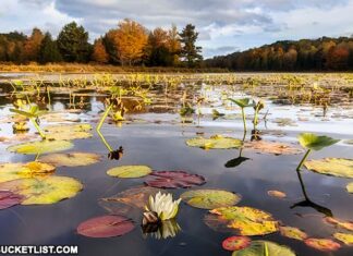 Fall foliage at Black Moshannon State Park 2021 Update