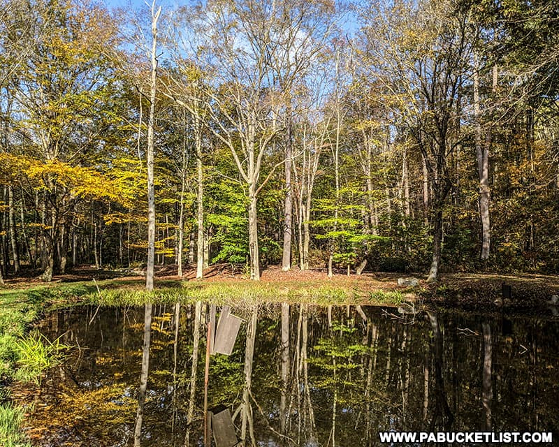 Reflections on the pond at the picnic area on the site of the former Blue Hole CCC camp.