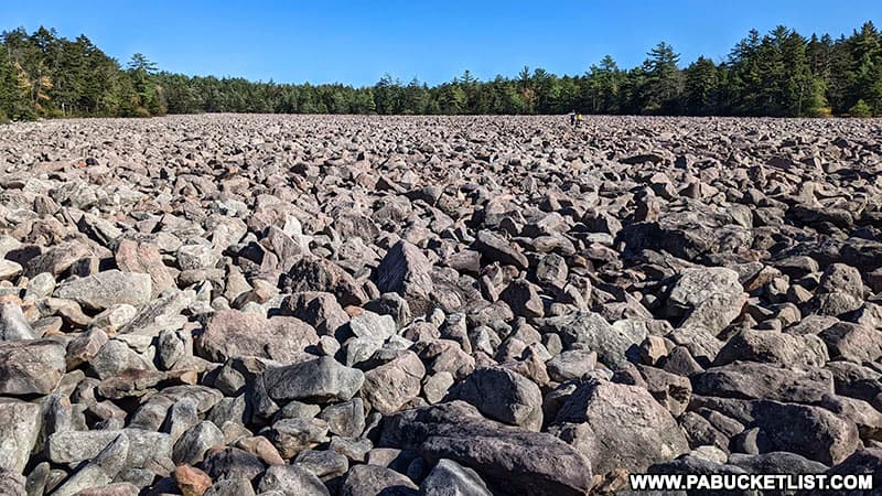 The massive Boulder Field at Hickory Run State Park.