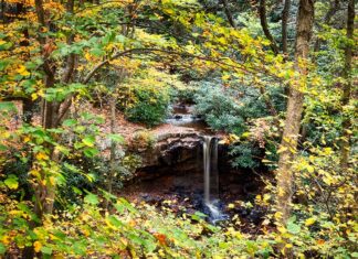 Cole Run Falls surrounded by fall foliage.