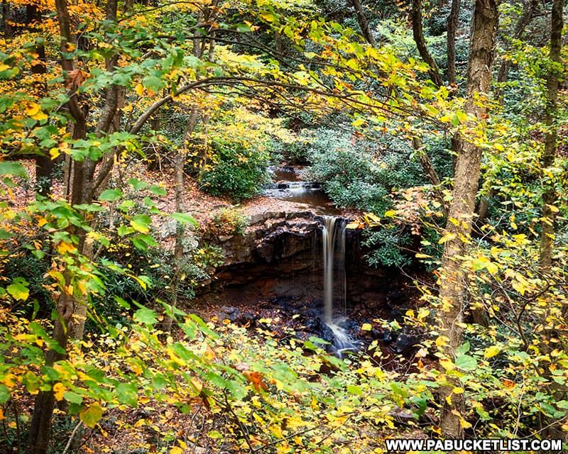 Cole Run Falls surrounded by fall foliage.