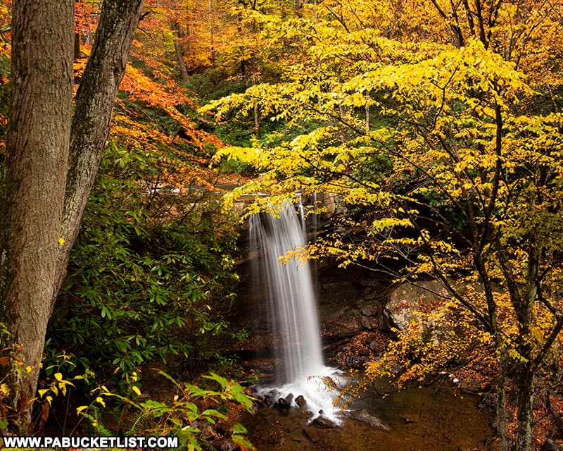 Fall foliage views from the top of Cucumber Falls at Ohiopyle State Park.