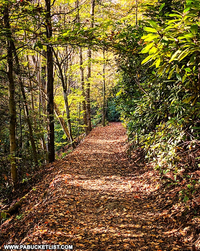 Hawk Falls Trail at HIckory Run State Park in October, 2021.