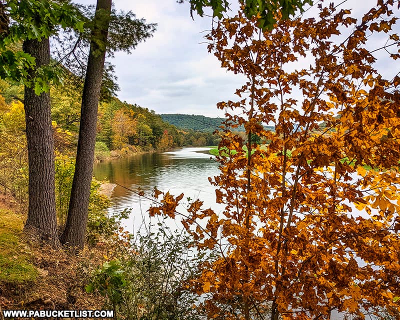 Fall foliage views to the north along Kettle Creek on October 12th, 2021.