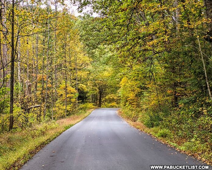Exploring Kettle Creek State Park in Clinton County