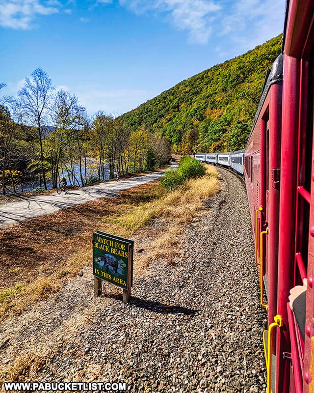 View from onboard the Lehigh Gorge Scenic Railway fall foliage train.