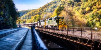 The Lehigh Gorge Scenic Railway fall foliage train passing through Glen Onoko on October 20th, 2021.
