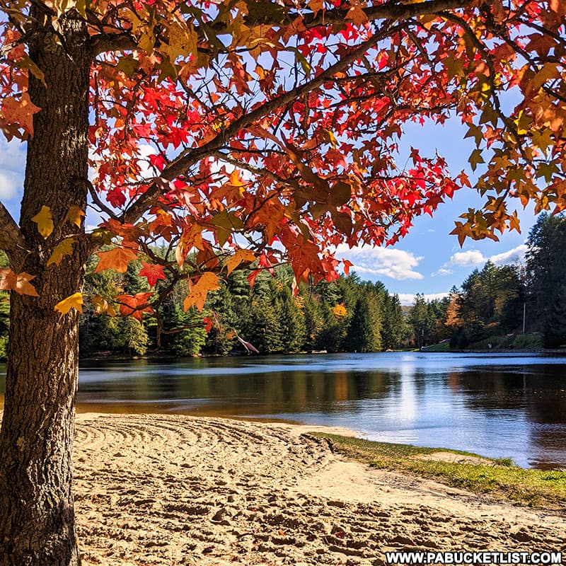 Fall foliage along the beach at RB Winter State Park in Union County, PA.