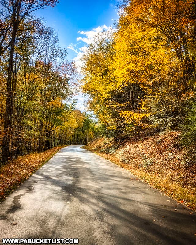 Fall foliage along the road leading to the scenic overlook at RB Winter State Park.