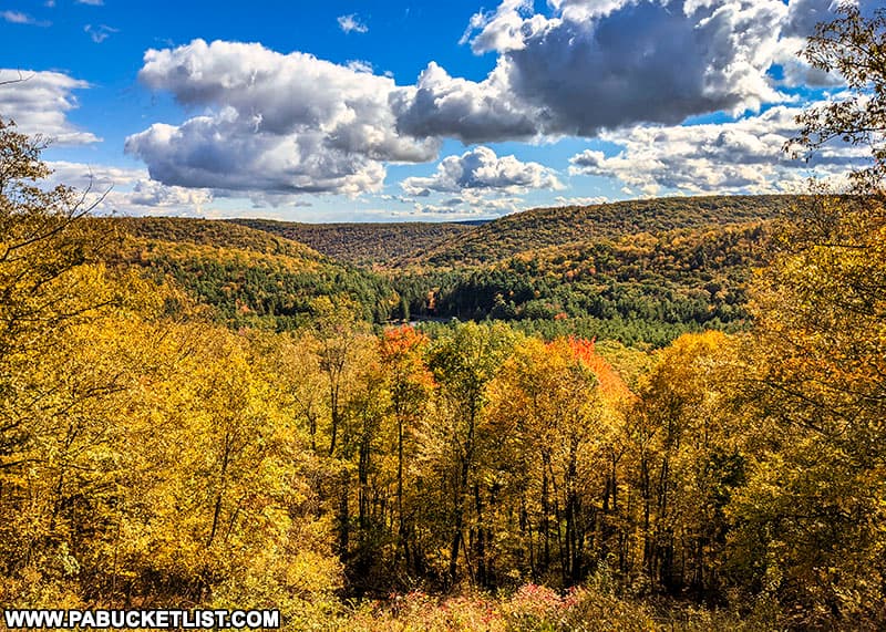 Fall foliage as viewed from the RB Winter State Park scenic overlook.
