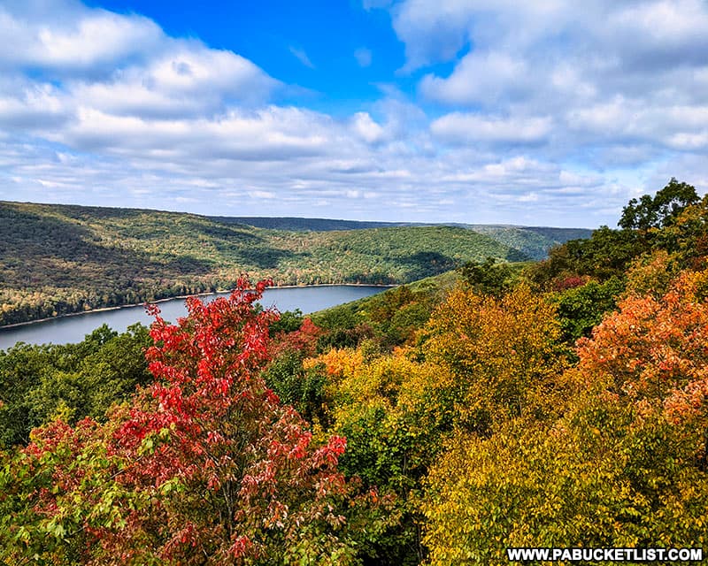 Fall foliage at Rimrock Overlook as of October 6th, 2021.