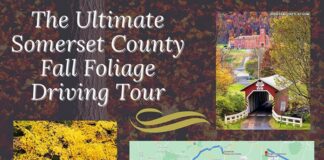 The Ultimate Somerset County Fall Foliage Driving Tour.