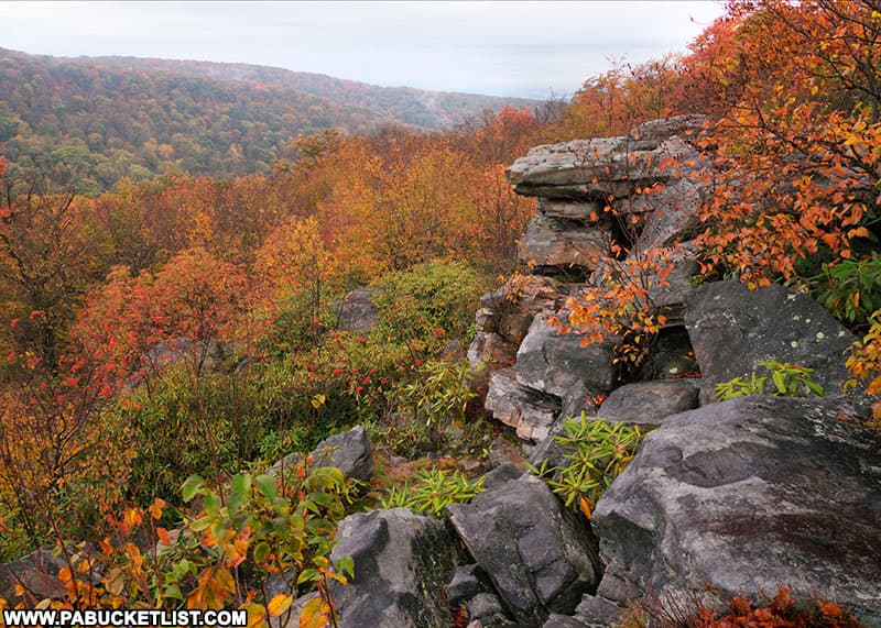 Looking in the direction of Ligonier from Wolf Rocks Overlook in the Forbes State Forest.