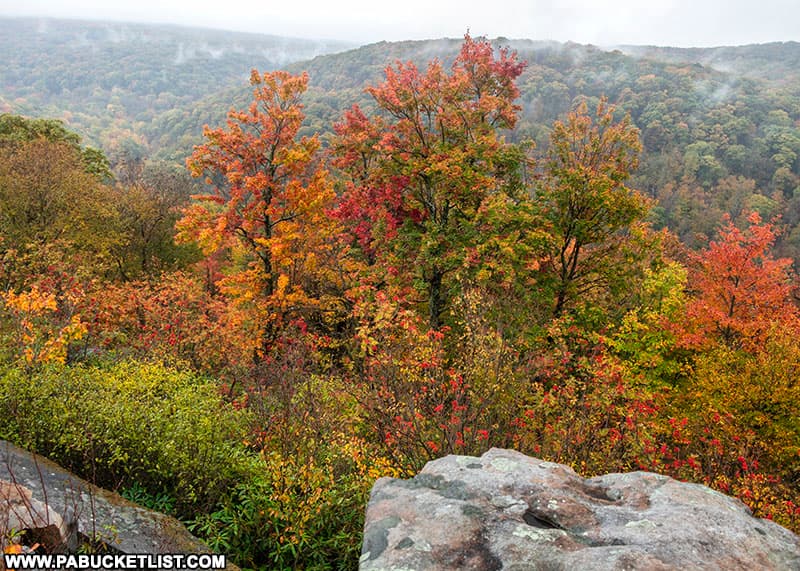 Fall foliage on a misty autumn morning at Wolf Rocks Overlook in the Forbes State Forest.