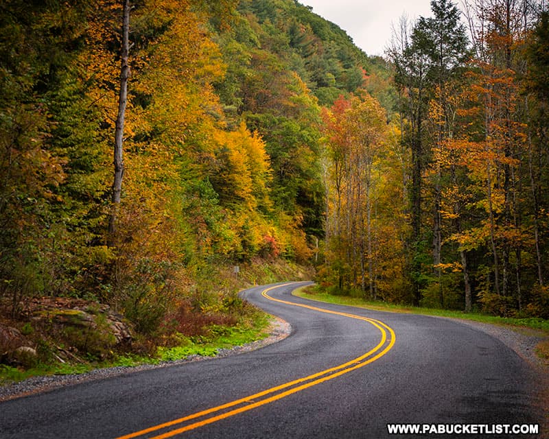 Fall foliage along Wykoff Run Road on October 12th, 2021.