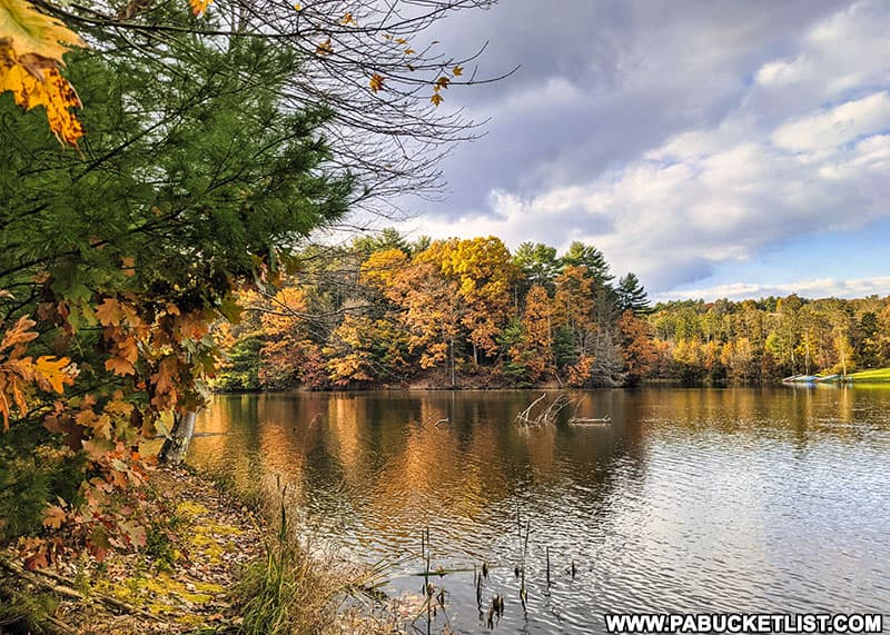 Looking out over the water from the Colyer Lake Trail near State College.