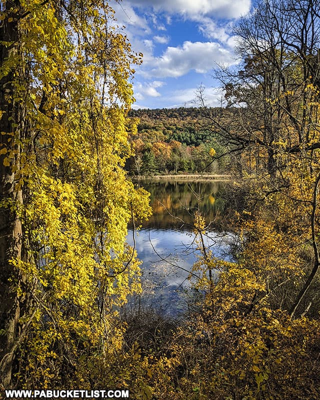 Golden foliage along the Colyer Lake Trail in October.