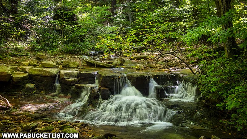Exploring Fish Run Falls in the Forbes State Forest