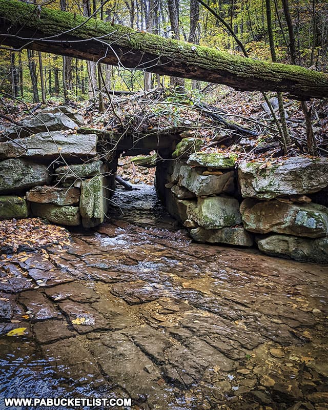 Stone aqueduct below Fish Run Falls in the Forbes State Forest.