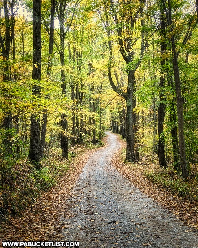 Gary Road in the Forbes State Forest.