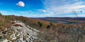 A panoramic view of Indian Wells Overlook along the Mid State Trail in the Rothrock State Forest.