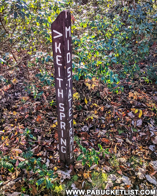 The intersection of Keith Spring Trail and the Mid State Trail in the Rothrock State Forest.