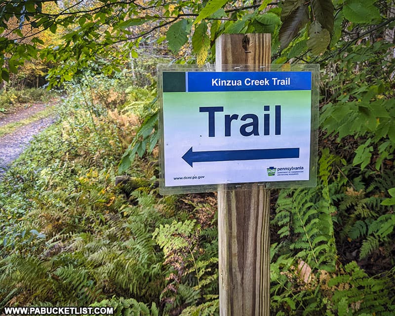 Kinzua Creek Trail at Kinzua Bridge State Park.
