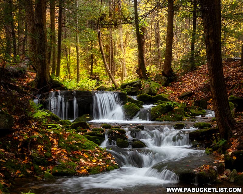 Fall foliage around Mill Creek Falls in Westmoreland County PA.