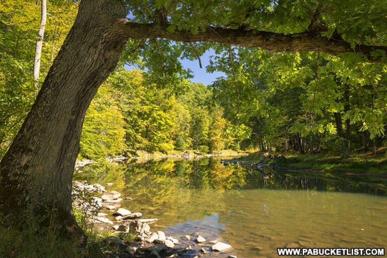 Exploring Poe Paddy State Park in Centre County