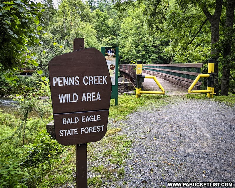 Penns Creek Wild Area in the Bald Eagle State Forest, near Poe Paddy Tunnel.