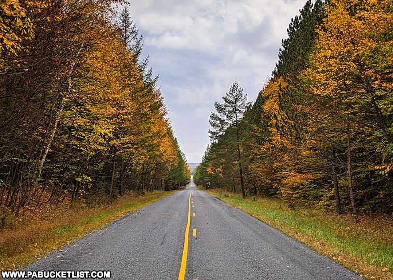Fall foliage along the Quehanna Highway in Elk County Pennsylvania