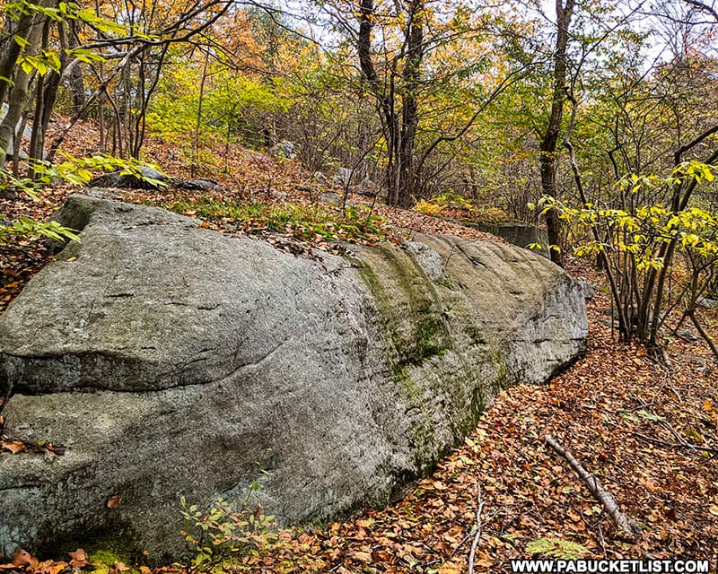 Large boulder along the hike to Red Run Gorge Vista in the Quehanna Wild Area.