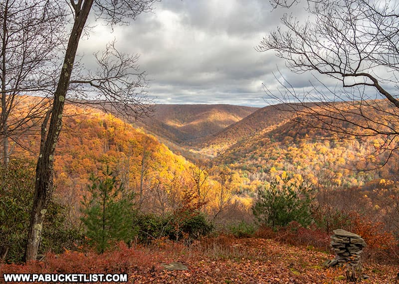 Fall foliage at Red Run Gorge Vista in the Quehanna Wild Area.