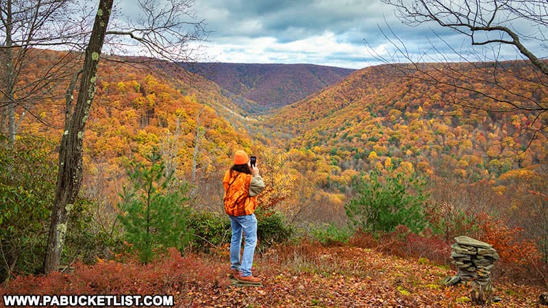 Brilliant fall foliage at Red Run Gorge Vista in Elk County, Pennsylvania.