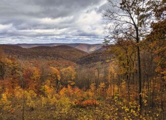 Norcross Vista is one of the 30 best roadside scenic overlooks in Pennsylvania.