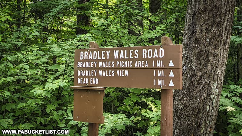 Bradley Wales Road where it splits off from West Rim Road in the PA Grand Canyon.
