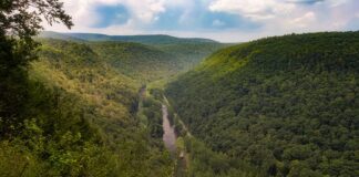 Bradley Wales Scenic Vista in the PA Grand Canyon.