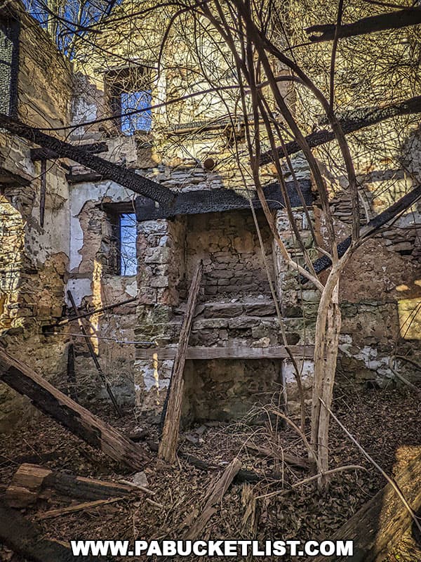 Fireplaces inside the abandoned Brumbaugh homestead at Raystown Lake in Huntingdon County PA.