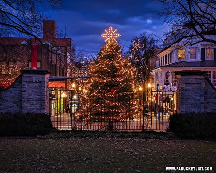 The State College Christmas tree and the intersection of College Avenue and South Allen Street.