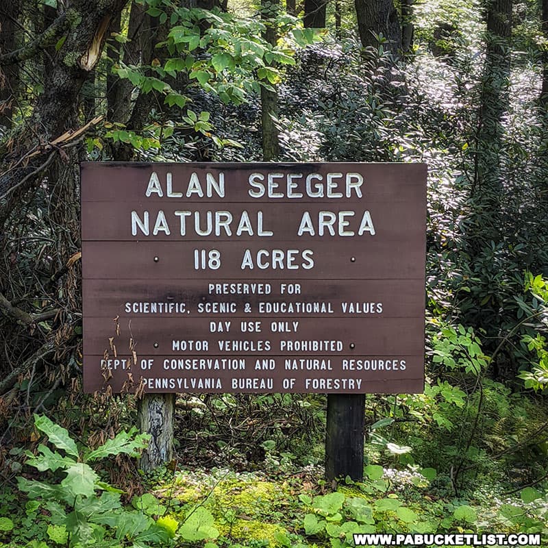Alan Seeger Natural Area sign in the Rothrock State Forest.