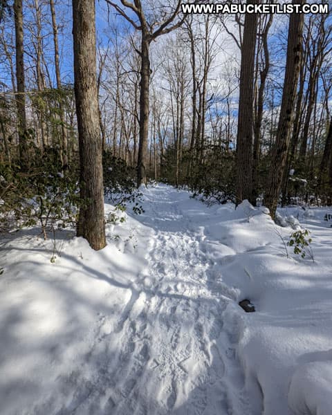 Beam Rocks Trail in the Forbes State Forest covered in snow.