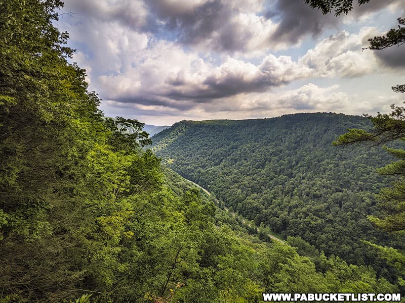View of the Pine Creek Gorge looking north from Colton Point State Park.