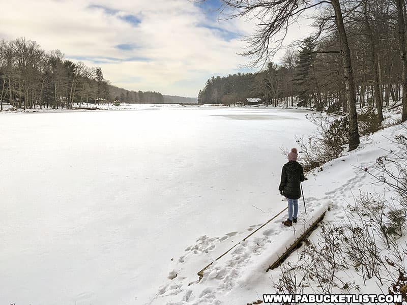 Winter scene along the Lake Loop Trail at Black Moshannon State Park.