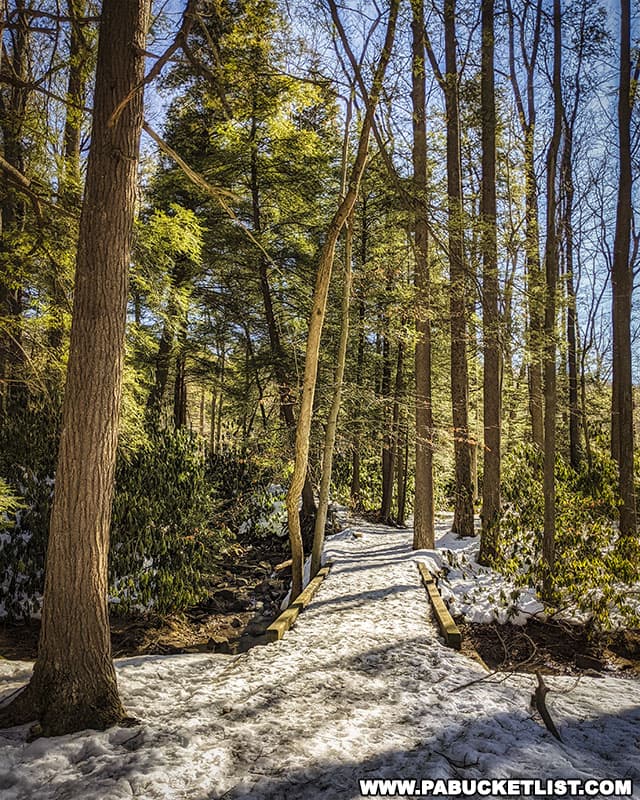 Hiking trail at Kooser State Park in the winter.