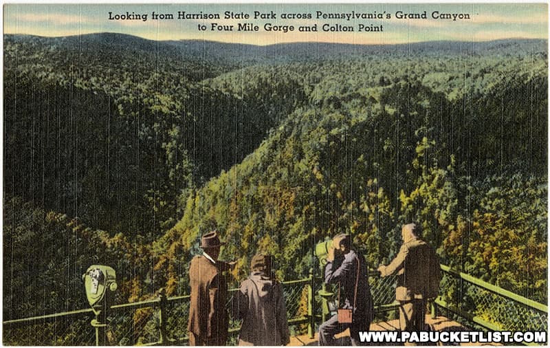 Vintage postcard showing one of the lower viewing areas at Leonard Harrison State Park, along the rim of the PA Grand Canyon.