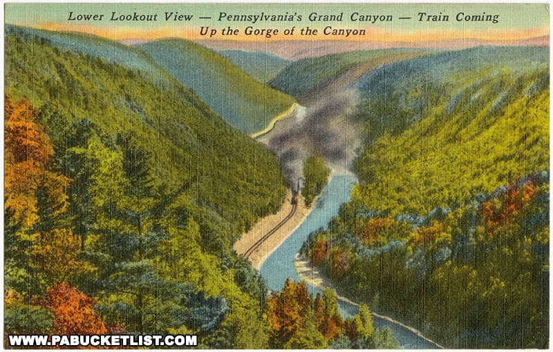 Vintage postcard featuring view to the south of the PA Grand Canyon from Leonard Harrison State Park.