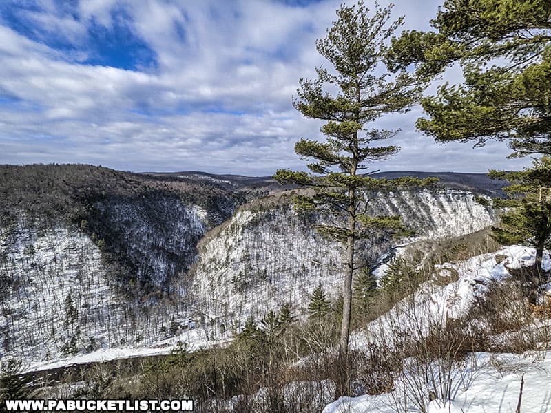 View across the PA Grand Canyon towards Colton Point State Park on a winter day.