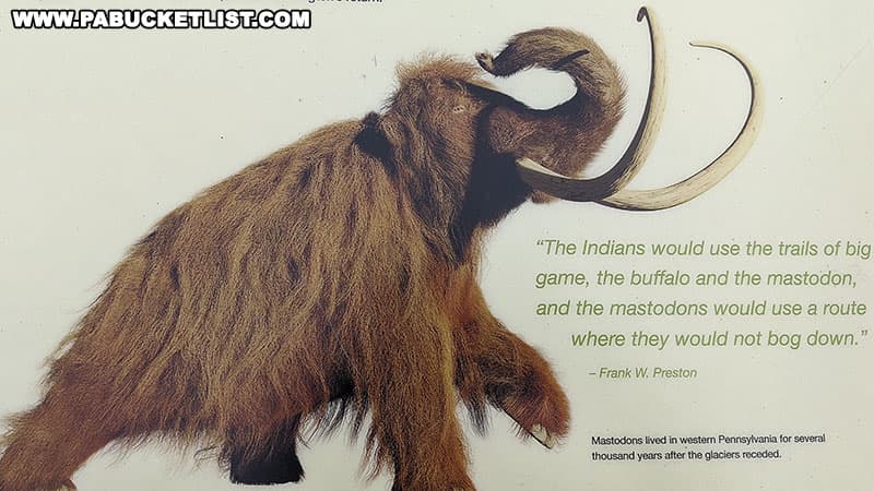 Information about mastodons that once inhabited western Pennsylvania around present-day Moraine State Park.