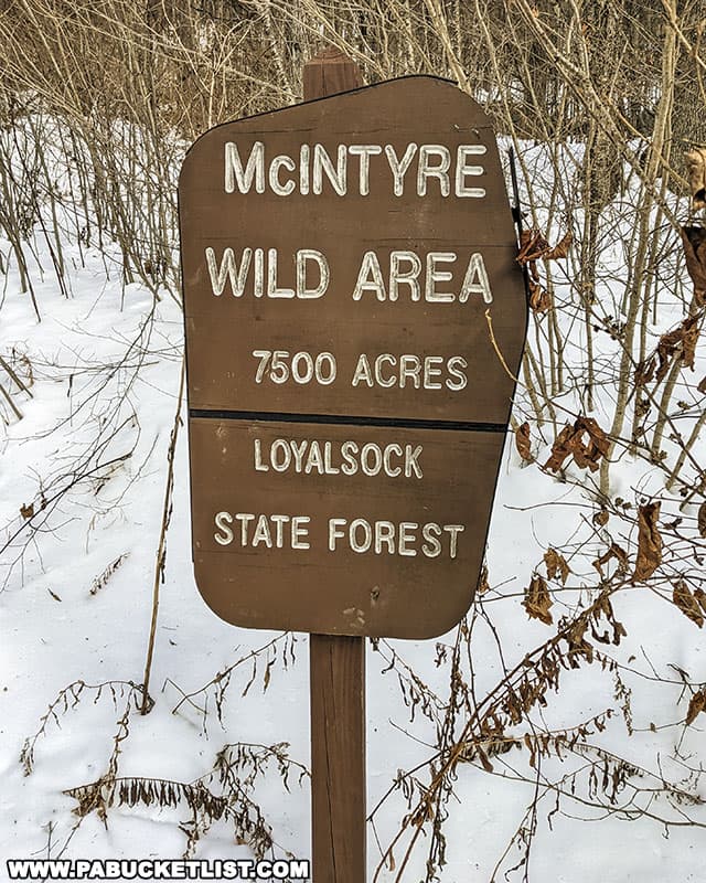 The McIntyre Wild Area near Ralson in Lycoming County, PA.