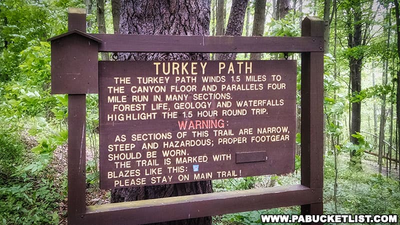 The Turkey Path Trailhead at Colton Point State Park in Tioga County, PA.